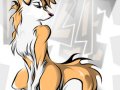 f_1236391489639_Collie_by_Sergkz.jpeg